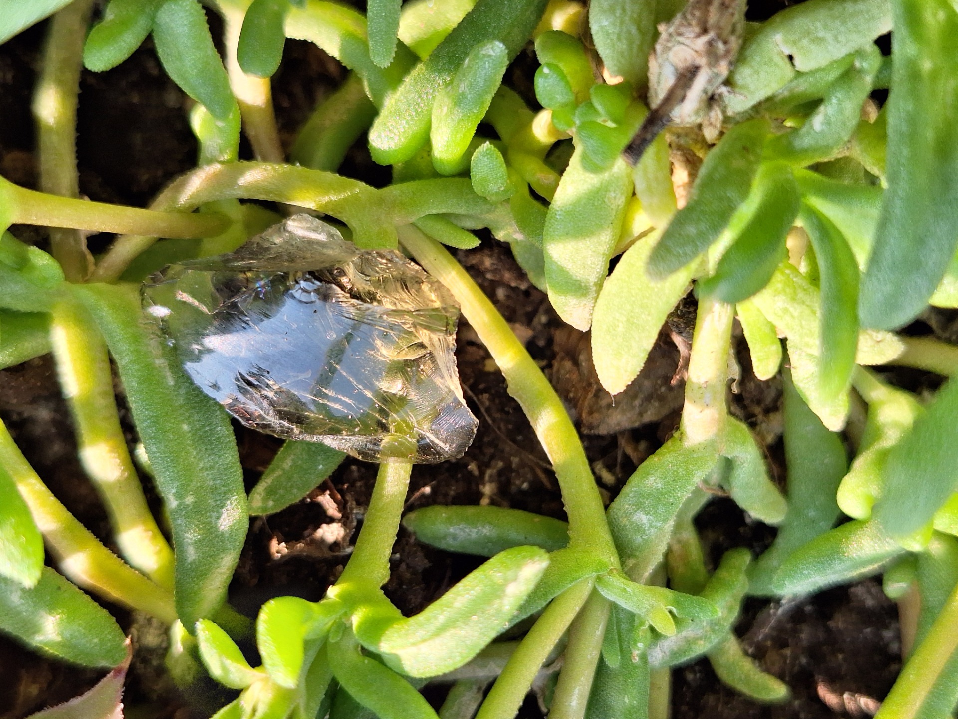 Cosmic Key (Indonézia)