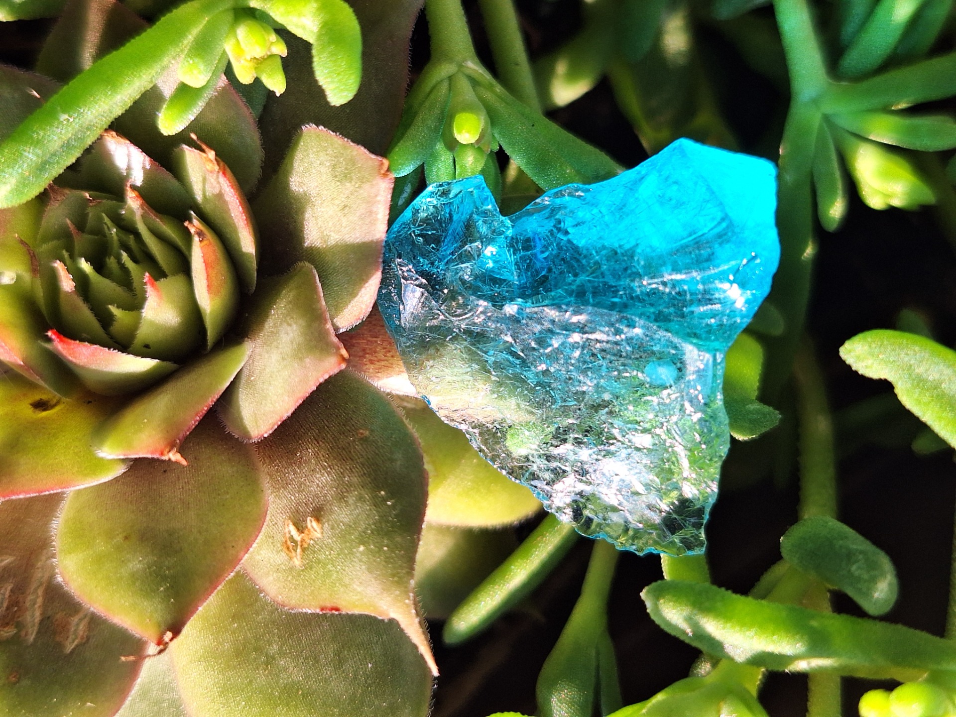 Aqua Twins - Blue (Dél-Afrika)