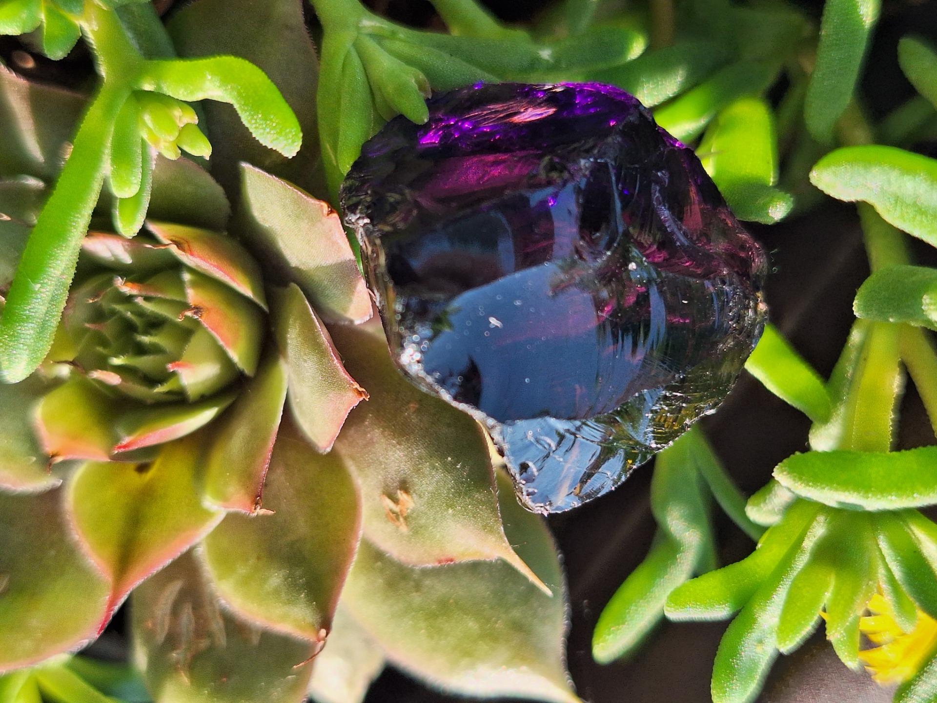 Sovereign Amethyst (Mt. Shasta)