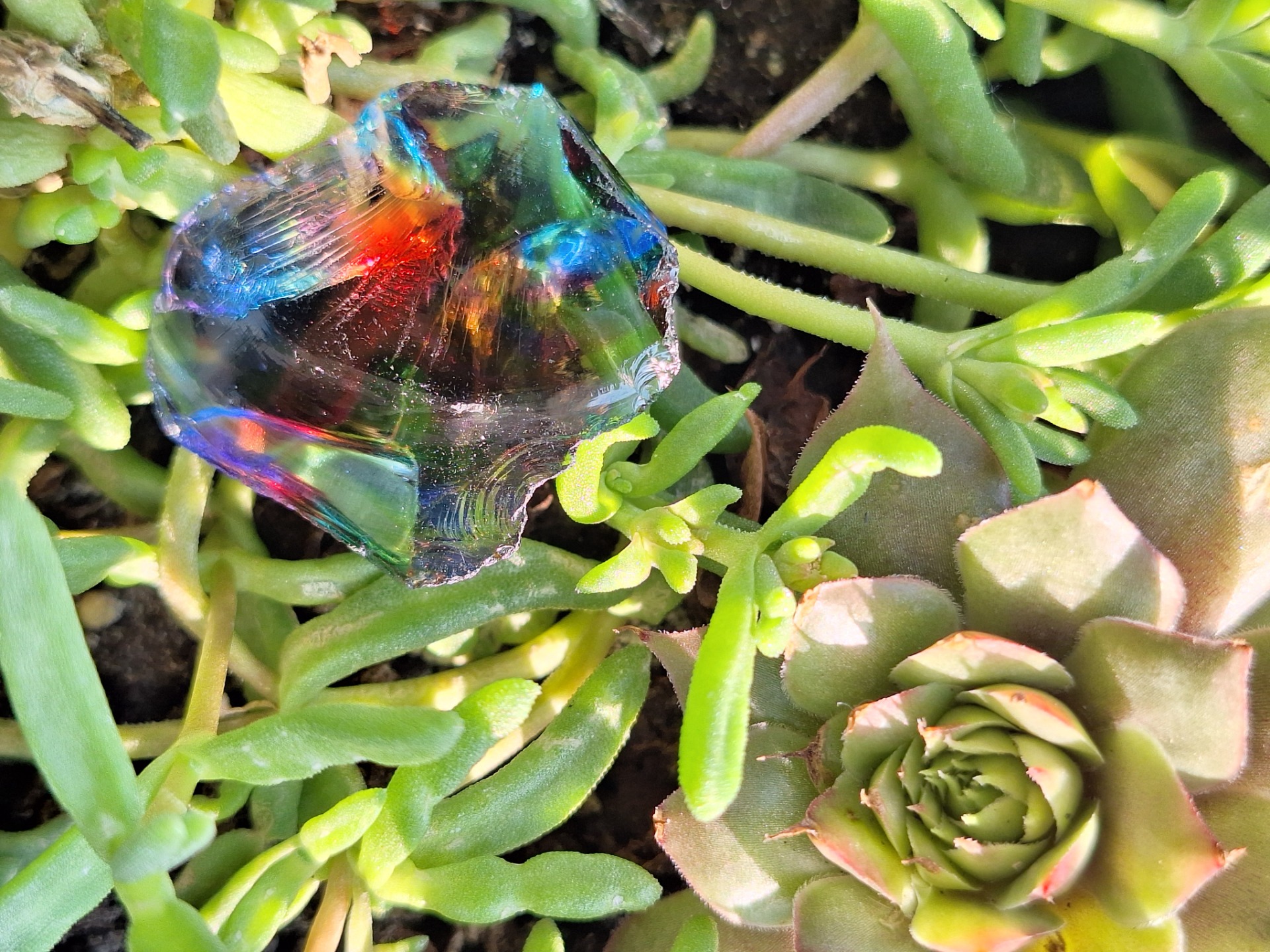 Szivárvány Andara (Indonézia)