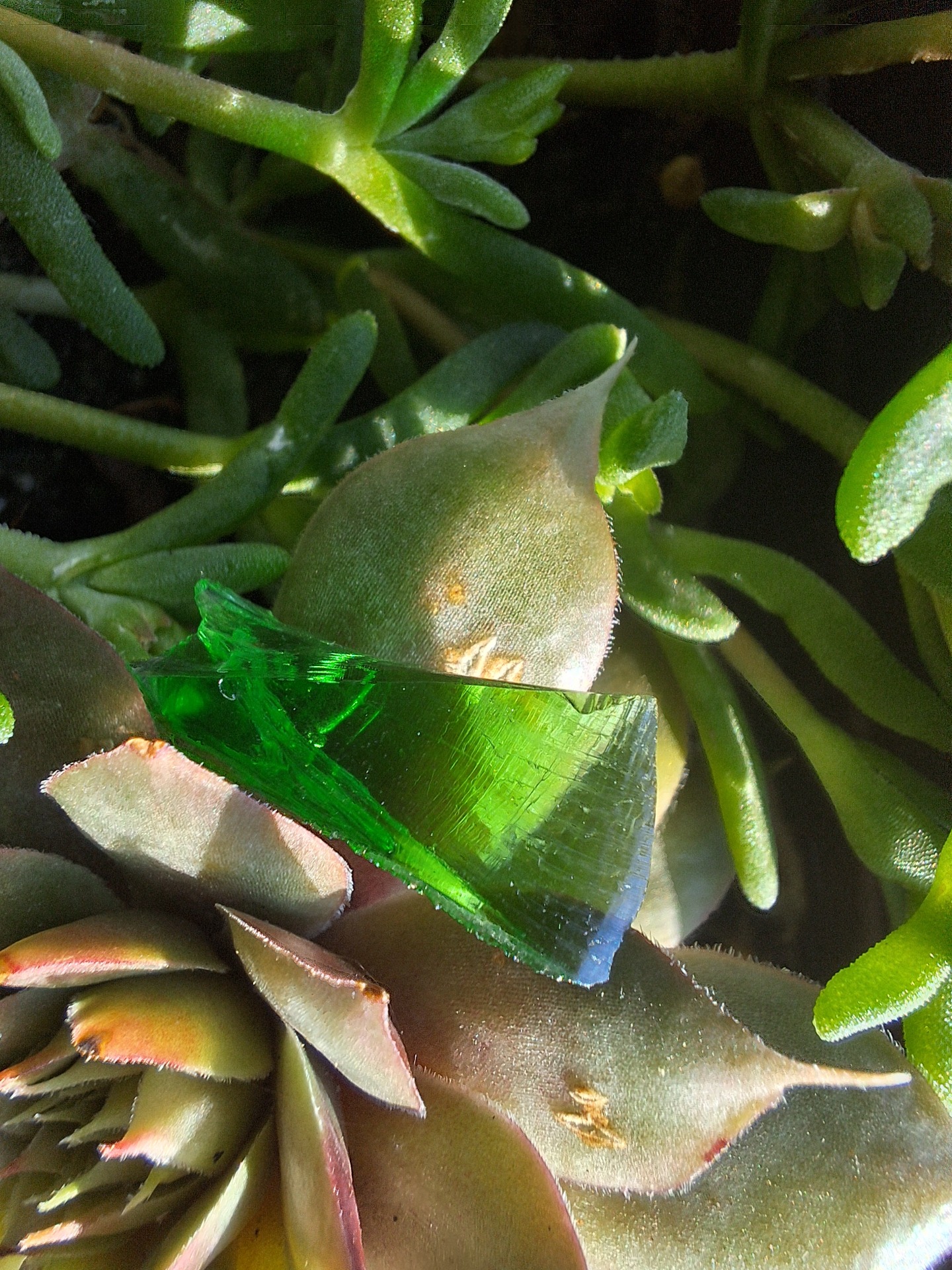 Emerald Flame (Indonézia)