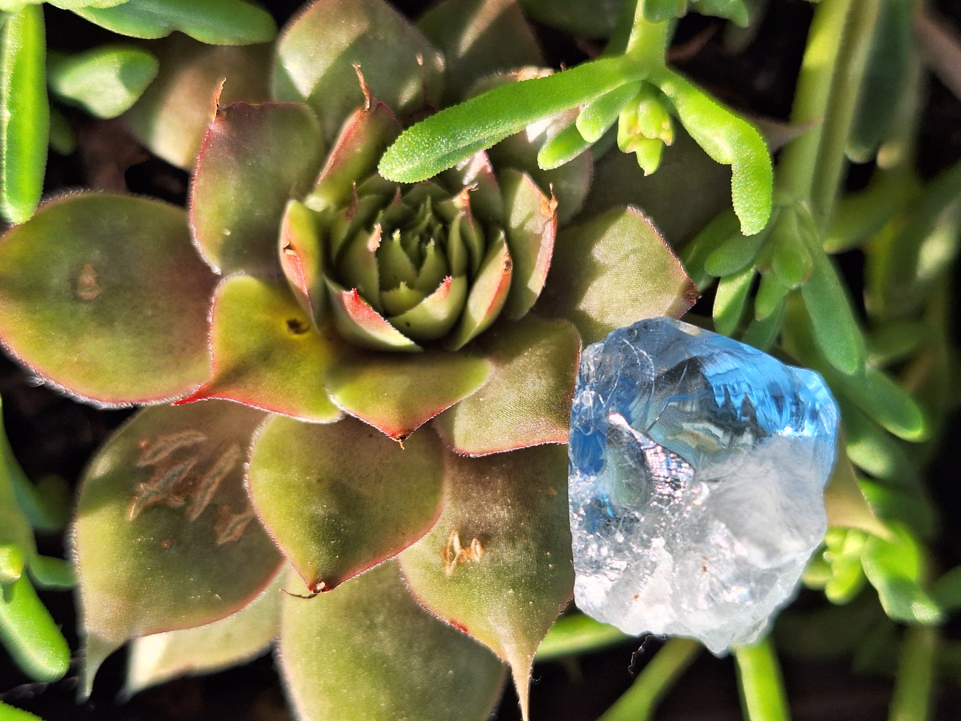 Cosmic Stargate Key (Indonézia)